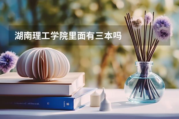 湖南理工学院里面有三本吗