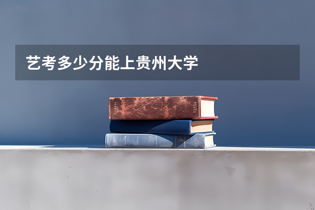 艺考多少分能上贵州大学