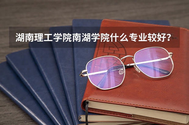湖南理工学院南湖学院什么专业较好？？？