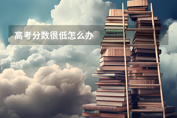 高考分数很低怎么办