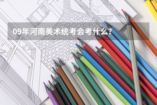 09年河南美术统考会考什么？