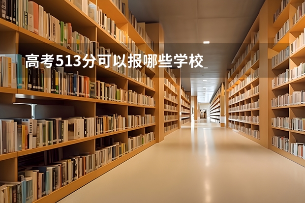 高考513分可以报哪些学校