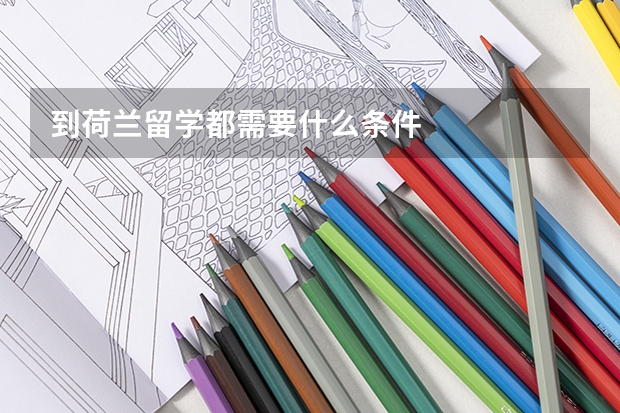 到荷兰留学都需要什么条件