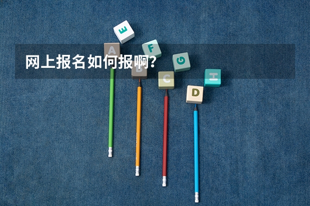 网上报名如何报啊？
