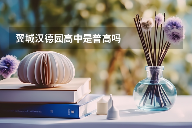 翼城汉德园高中是普高吗
