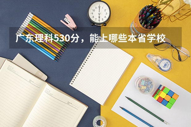 广东理科530分，能上哪些本省学校
