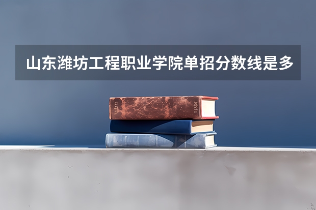 山东潍坊工程职业学院单招分数线是多少