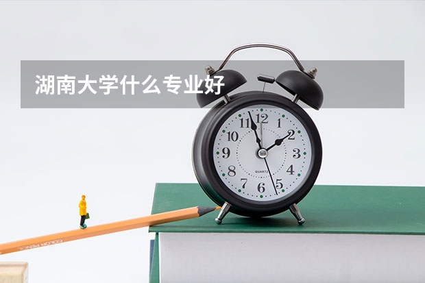 湖南大学什么专业好