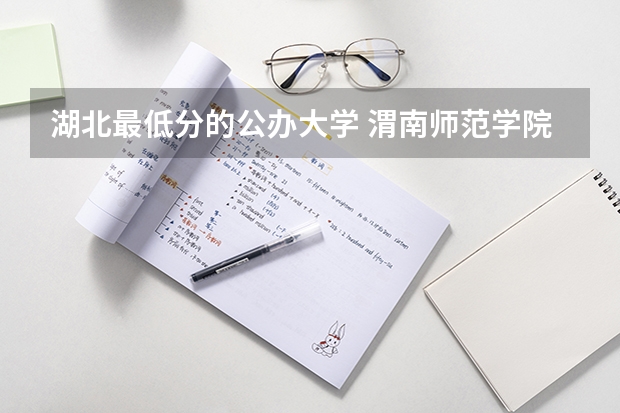 湖北最低分的公办大学 渭南师范学院艺术类录取分数线？