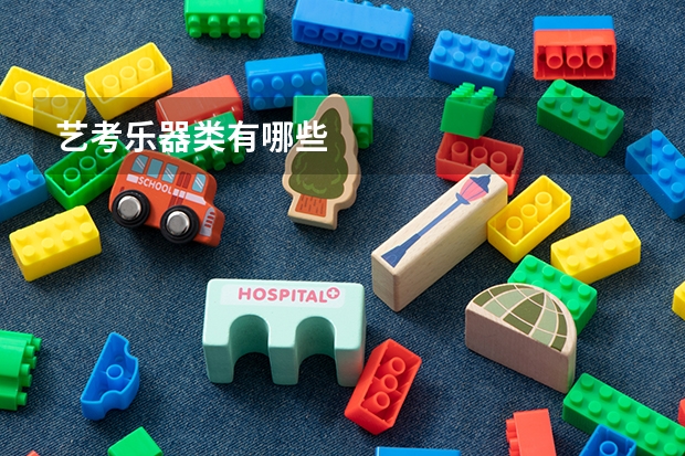 艺考乐器类有哪些