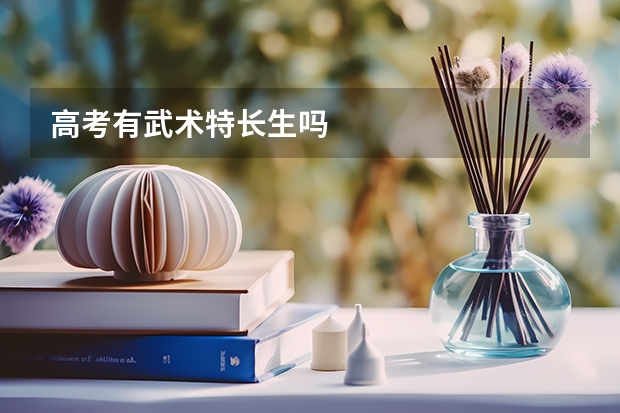高考有武术特长生吗