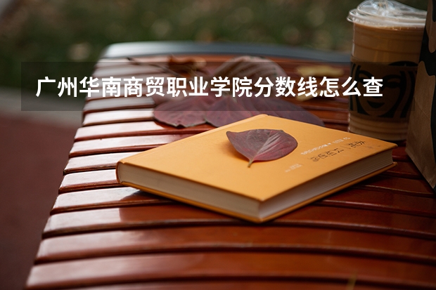 广州华南商贸职业学院分数线怎么查