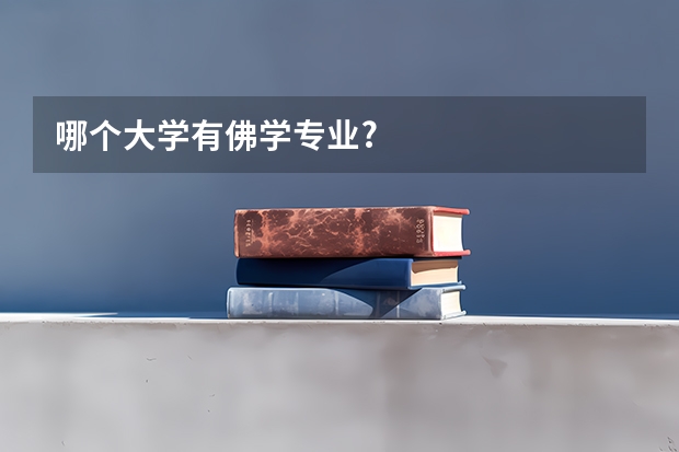 哪个大学有佛学专业?