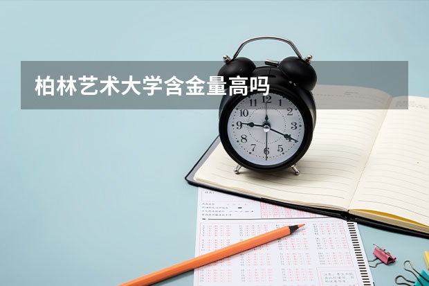 柏林艺术大学含金量高吗
