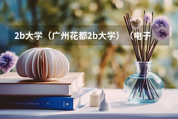2b大学（广州花都2b大学）（电子科技大学中山学院为啥学费贵）