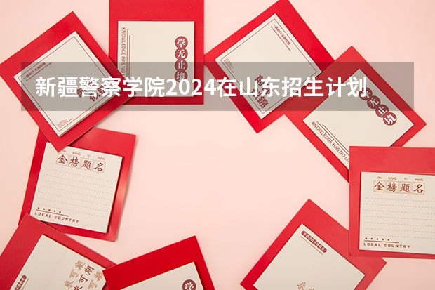 新疆警察学院2024在山东招生计划是什么
