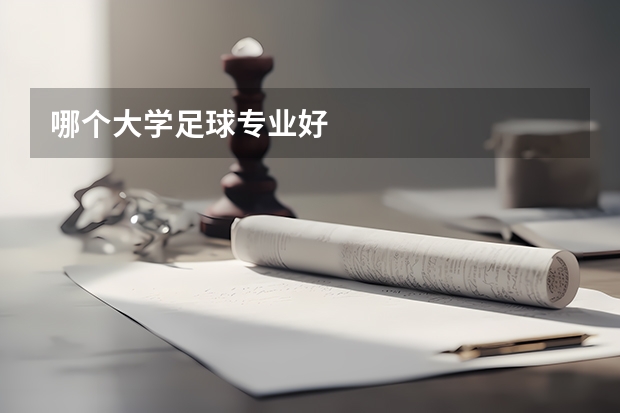 哪个大学足球专业好