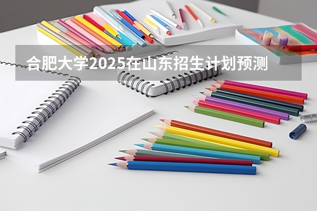 合肥大学2025在山东招生计划预测