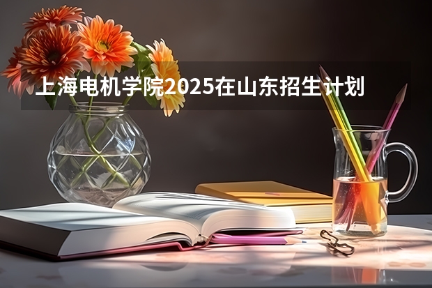 上海电机学院2025在山东招生计划预测