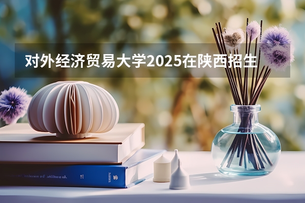 对外经济贸易大学2025在陕西招生计划预测