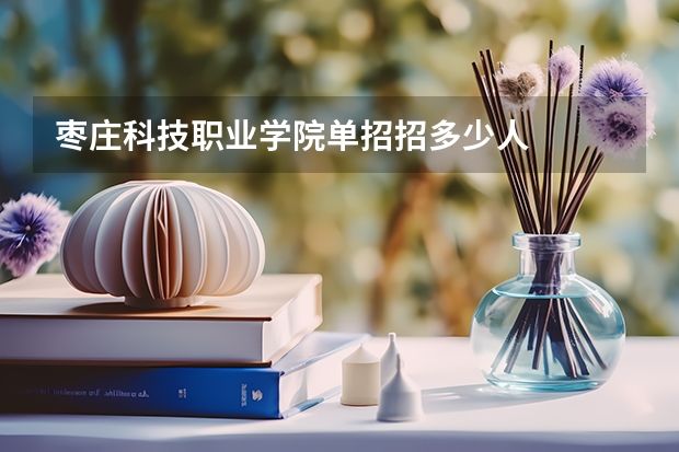 枣庄科技职业学院单招招多少人