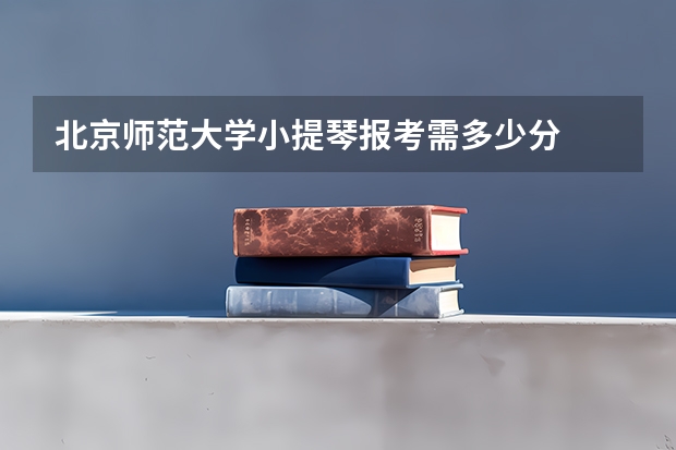 北京师范大学小提琴报考需多少分