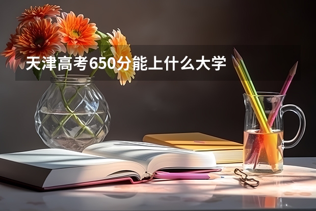 天津高考650分能上什么大学
