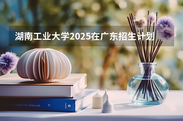 湖南工业大学2025在广东招生计划预测