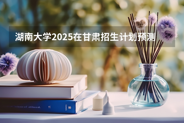 湖南大学2025在甘肃招生计划预测