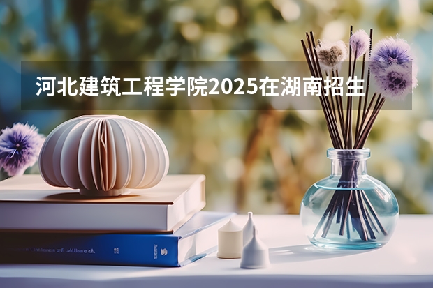 河北建筑工程学院2025在湖南招生计划预测