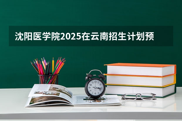 沈阳医学院2025在云南招生计划预测