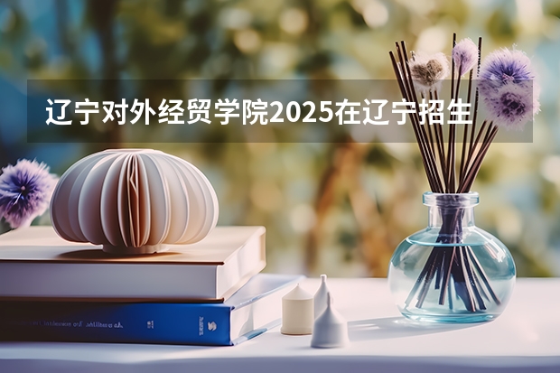 辽宁对外经贸学院2025在辽宁招生计划预测