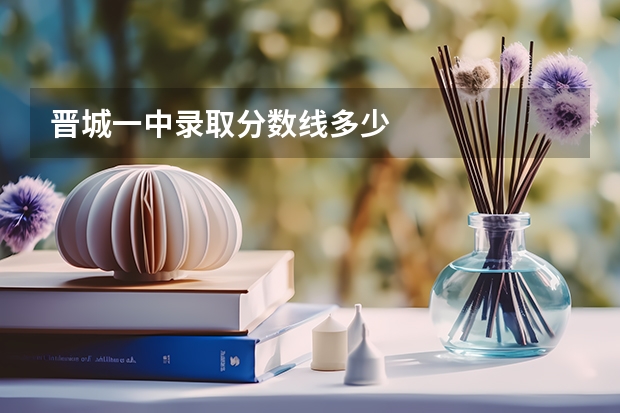 晋城一中录取分数线多少