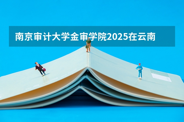 南京审计大学金审学院2025在云南招生计划预测
