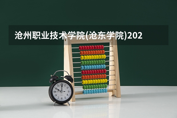 沧州职业技术学院(沧东学院)2025在河北招生计划预测