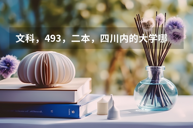 文科，493，二本，四川内的大学哪些能上？
