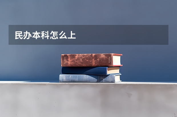 民办本科怎么上