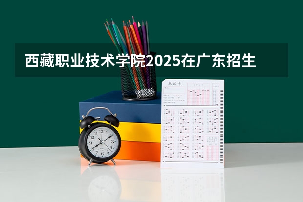 西藏职业技术学院2025在广东招生计划