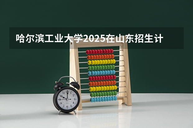哈尔滨工业大学2025在山东招生计划