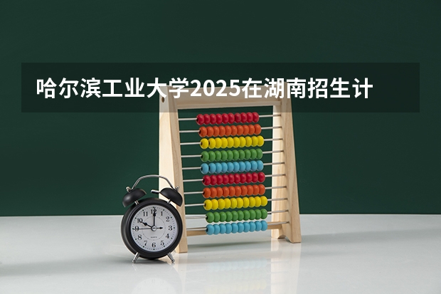 哈尔滨工业大学2025在湖南招生计划