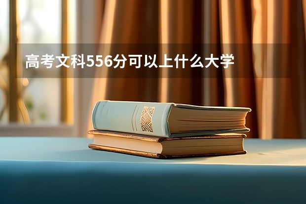 高考文科556分可以上什么大学