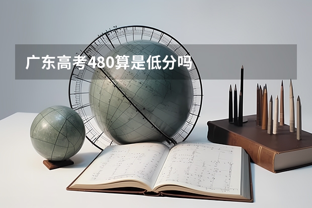 广东高考480算是低分吗