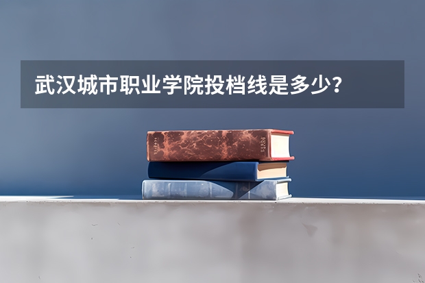 武汉城市职业学院投档线是多少？