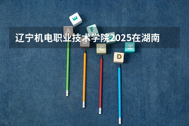 辽宁机电职业技术学院2025在湖南招生计划