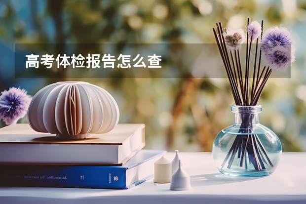 高考体检报告怎么查