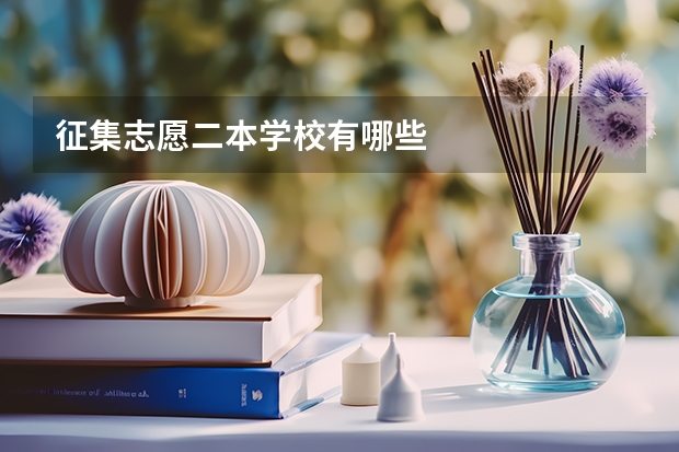 征集志愿二本学校有哪些