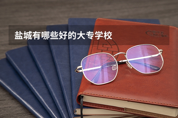 盐城有哪些好的大专学校