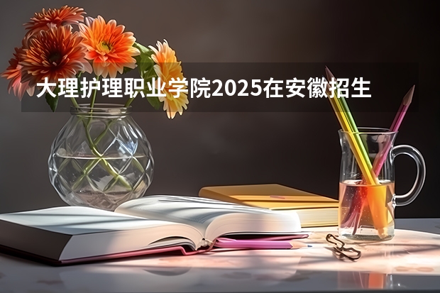 大理护理职业学院2025在安徽招生计划