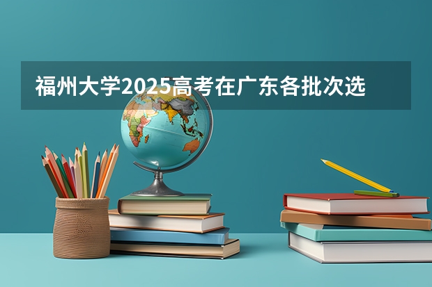 福州大学2025高考在广东各批次选科要求