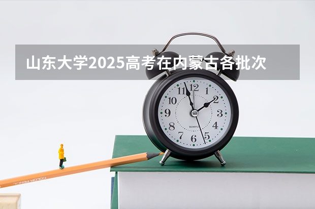 山东大学2025高考在内蒙古各批次选科要求
